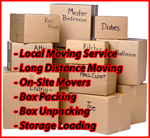 Packers And Movers Noida Sector 134